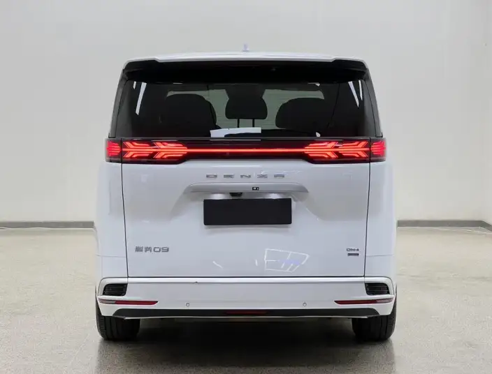 DENZA D9 DM 2025 Model Smart Driving Edition 1100 Luxury Model – фото 6
