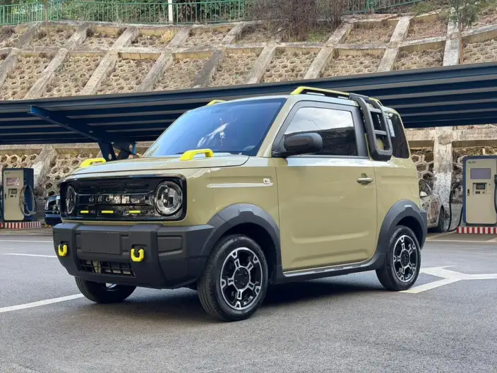 Panda 2024 Model 200km Panda Knight