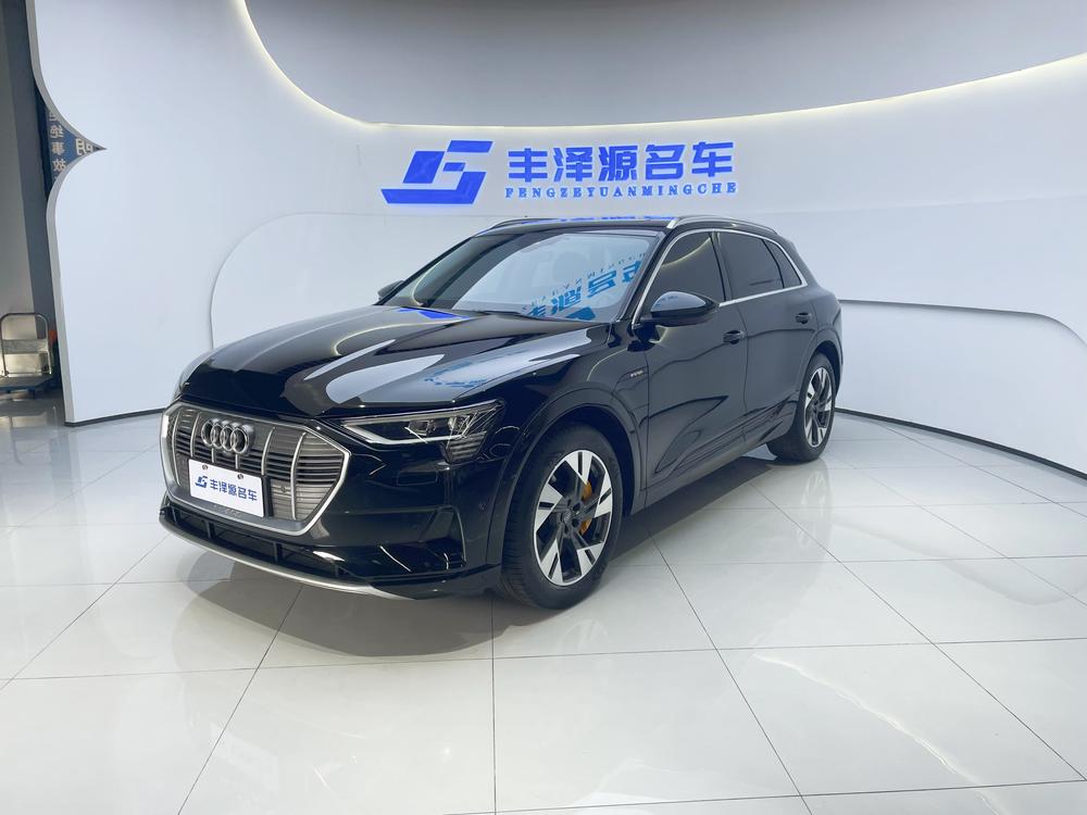 AUDI e-tron Imported Модель 2019 года 55 quattro Tech тип – фото 1