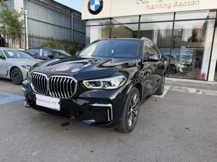 BMW X5 2022 Model xDrive 30Li Exclusive Model M Sports Set – фото 10