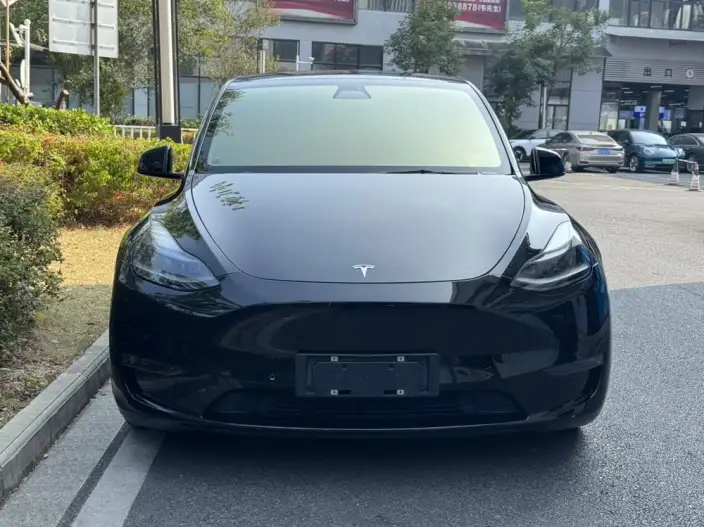 Model Y 2022 Model Long Battery Life Pro All-wheel drive version – фото 2