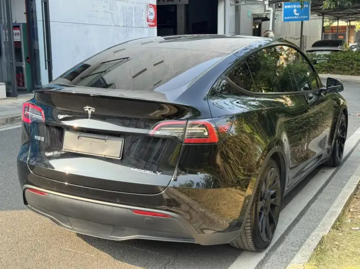 Model Y 2022 Model Long Battery Life Pro All-wheel drive version – фото 7
