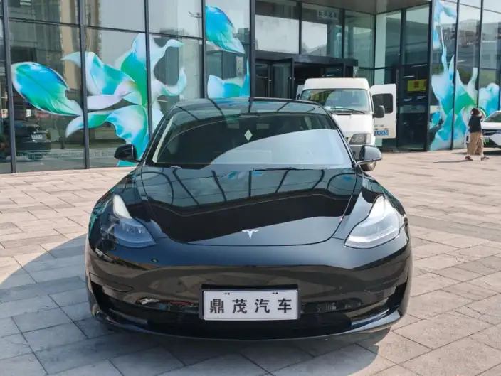 Model 3 2022 Model Rear-wheel drive version – фото 2