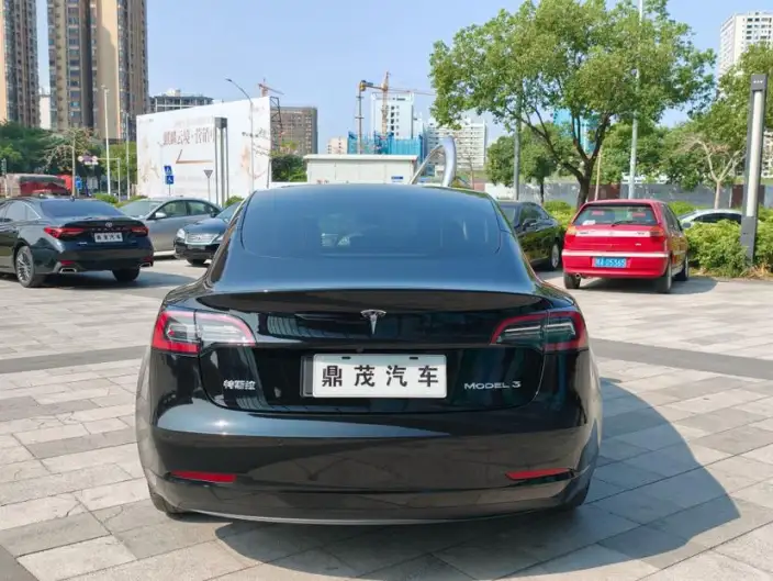 Model 3 2022 Model Rear-wheel drive version – фото 6