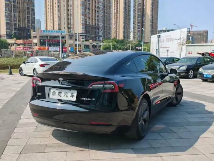 Model 3 2022 Model Rear-wheel drive version – фото 7
