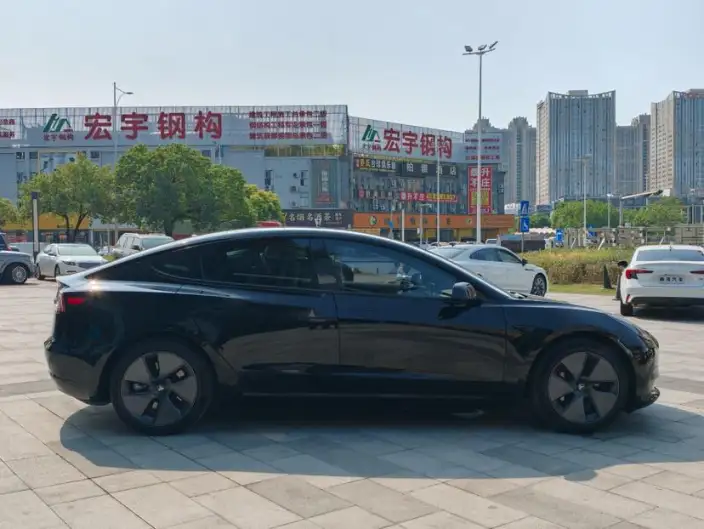 Model 3 2022 Model Rear-wheel drive version – фото 8
