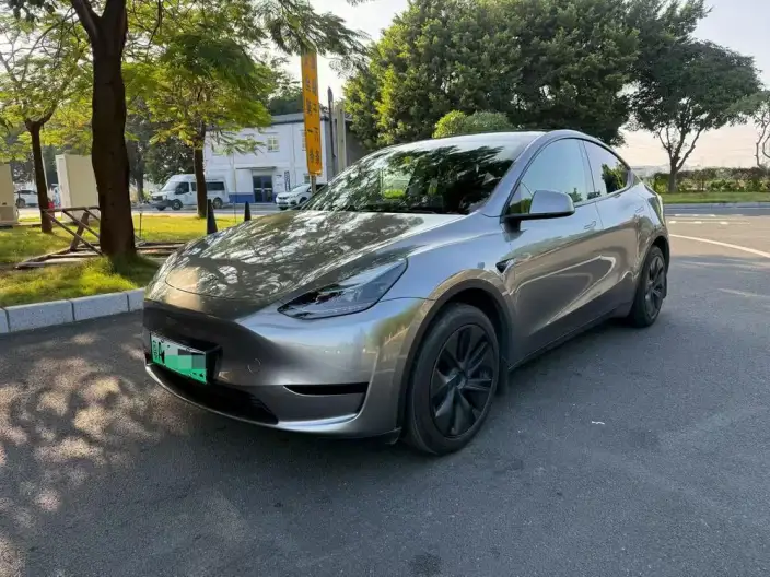 Model Y 2024 Model Rear-wheel drive version – фото 1