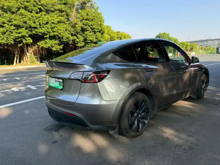 Model Y 2024 Model Rear-wheel drive version – фото 5