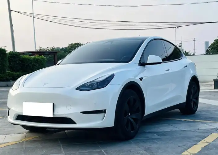Model Y 2023 Model Long Battery Life Pro All-wheel drive version – фото 1