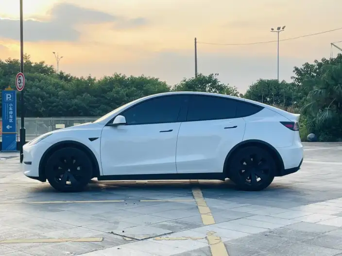 Model Y 2023 Model Long Battery Life Pro All-wheel drive version – фото 4