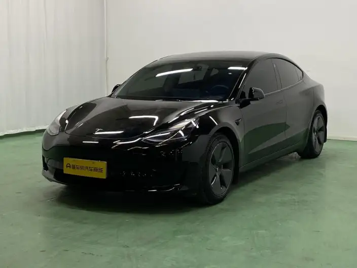 Model 3 2022 Model Rear-wheel drive version – фото 1