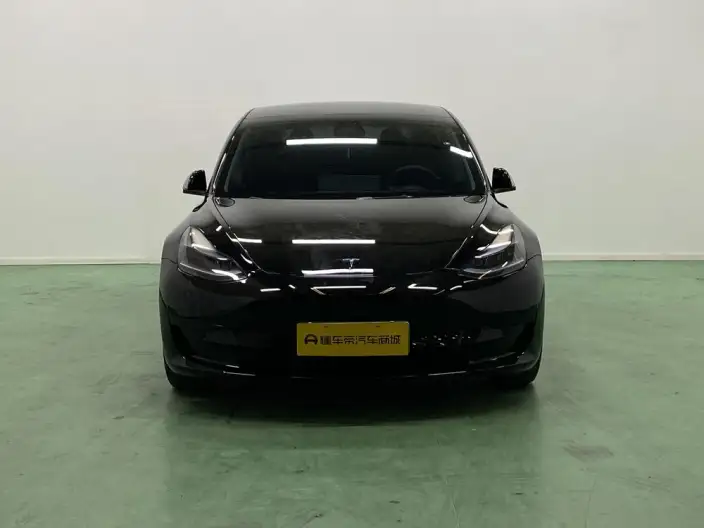 Model 3 2022 Model Rear-wheel drive version – фото 2