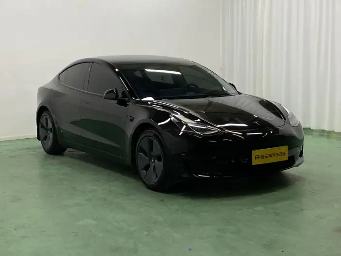 Model 3 2022 Model Rear-wheel drive version – фото 3