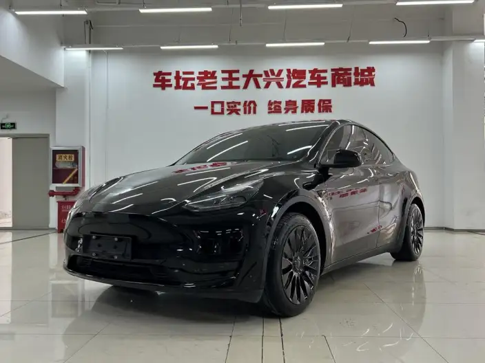 Model Y 2022 Model Rear-wheel drive version – фото 1