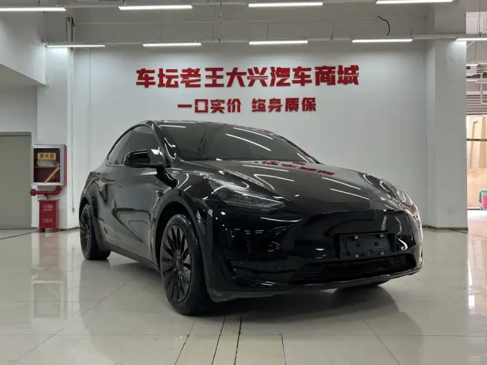 Model Y 2022 Model Rear-wheel drive version – фото 2