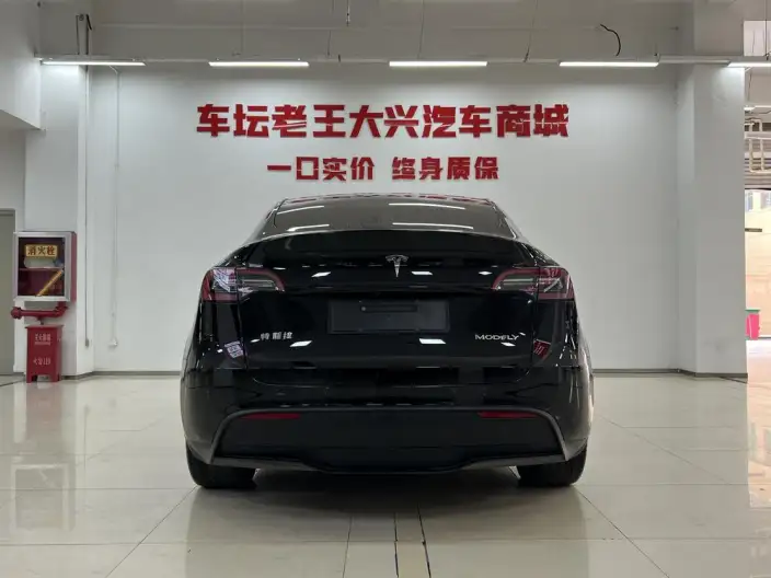 Model Y 2022 Model Rear-wheel drive version – фото 4