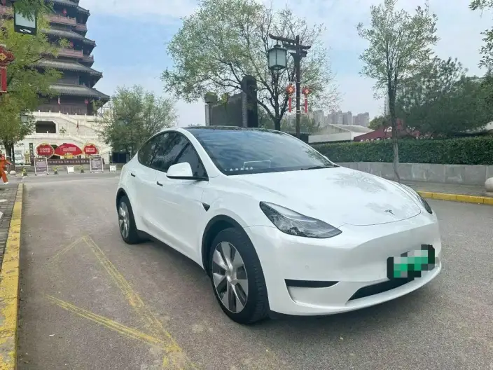 Model Y 2022 Model Rear-wheel drive version – фото 3
