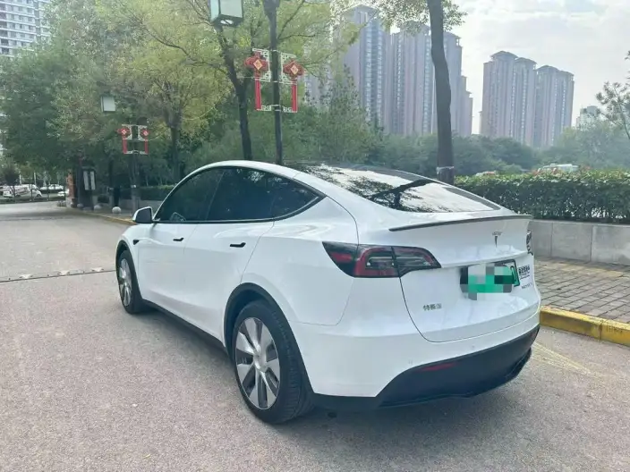 Model Y 2022 Model Rear-wheel drive version – фото 4