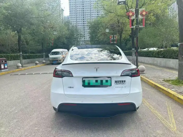 Model Y 2022 Model Rear-wheel drive version – фото 5