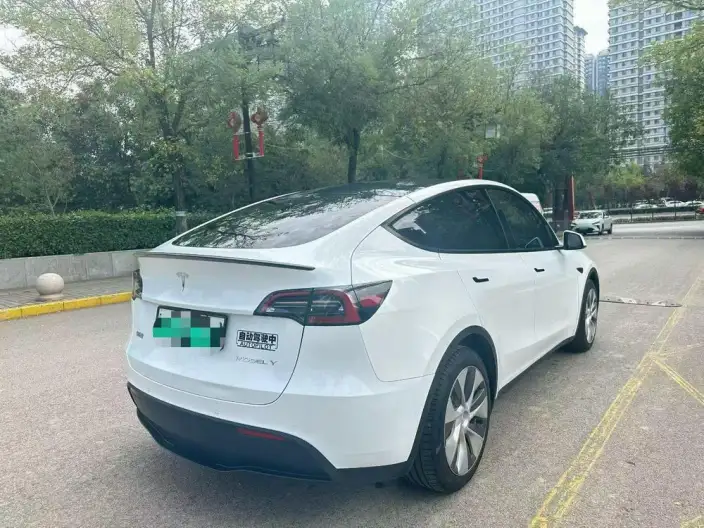 Model Y 2022 Model Rear-wheel drive version – фото 6