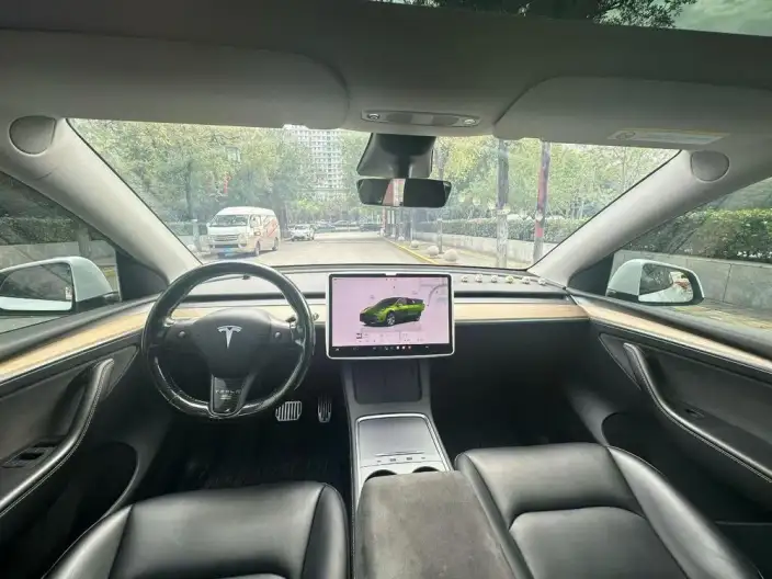 Model Y 2022 Model Rear-wheel drive version – фото 7