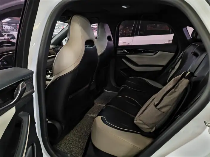 Qin Plus EV 2021 Model 500KM Luxury Model – фото 9