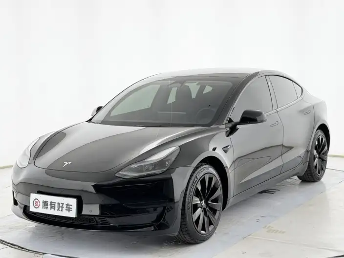 Model 3 2022 Model Rear-wheel drive version – фото 1