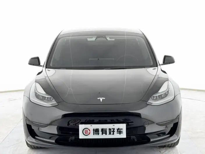 Model 3 2022 Model Rear-wheel drive version – фото 2
