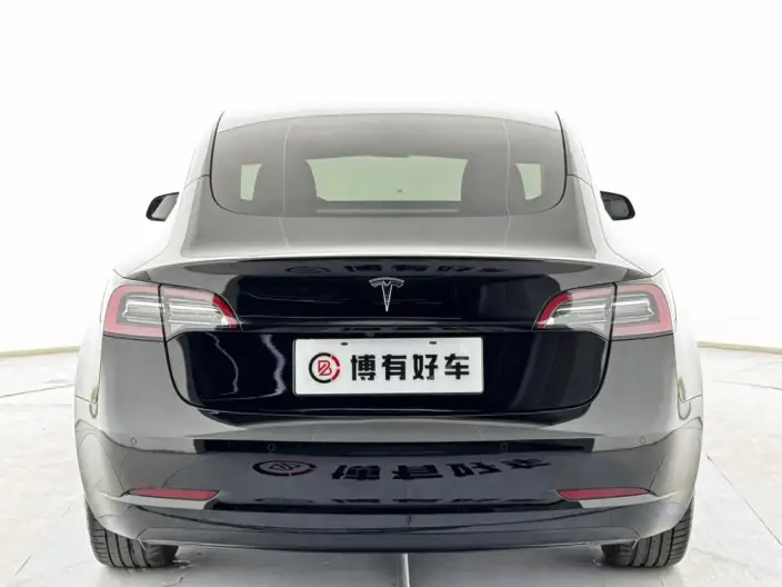 Model 3 2022 Model Rear-wheel drive version – фото 6
