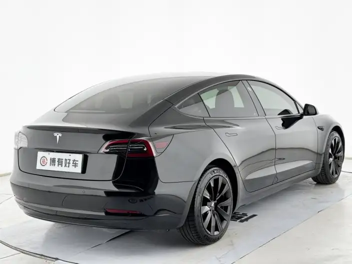 Model 3 2022 Model Rear-wheel drive version – фото 7