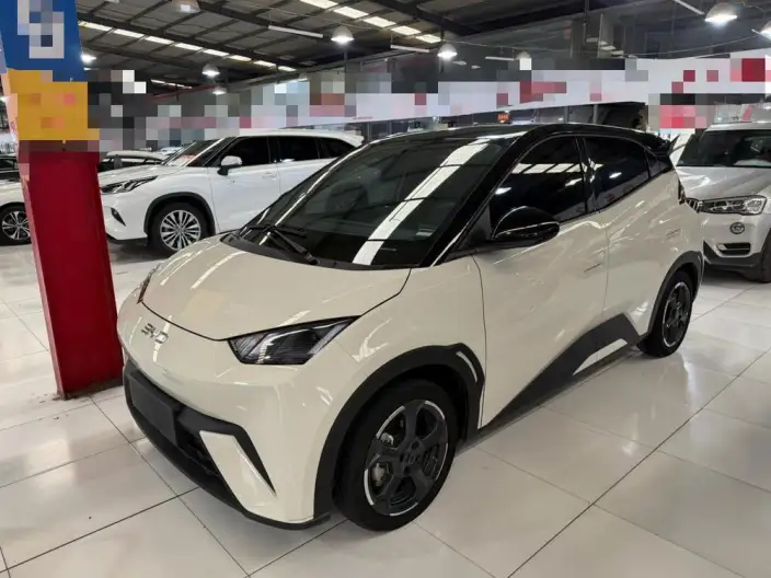 BYD Seagull 2024 Model Honor Edition 305KM Vitality Edition – фото 1