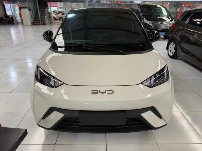 BYD Seagull 2024 Model Honor Edition 305KM Vitality Edition – фото 2