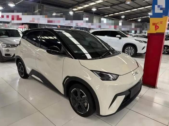 BYD Seagull 2024 Model Honor Edition 305KM Vitality Edition – фото 3