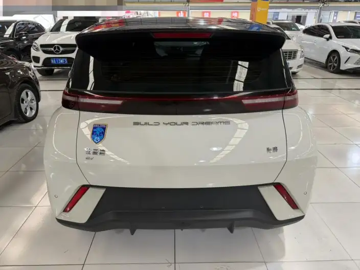 BYD Seagull 2024 Model Honor Edition 305KM Vitality Edition – фото 5