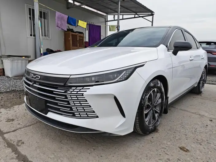BYD Destroyer 05 2024 Model Honor Edition DM-i 55KM Luxury Model – фото 1