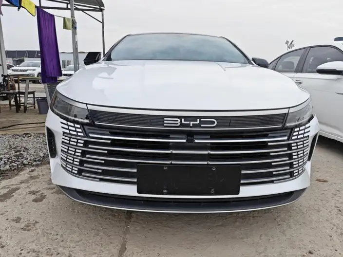 BYD Destroyer 05 2024 Model Honor Edition DM-i 55KM Luxury Model – фото 2