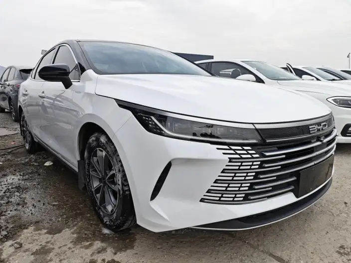 BYD Destroyer 05 2024 Model Honor Edition DM-i 55KM Luxury Model – фото 3