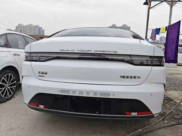 BYD Destroyer 05 2024 Model Honor Edition DM-i 55KM Luxury Model – фото 5