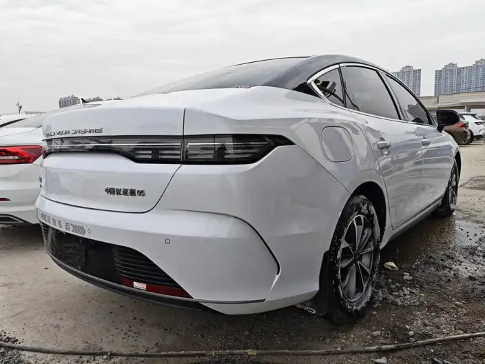 BYD Destroyer 05 2024 Model Honor Edition DM-i 55KM Luxury Model – фото 6