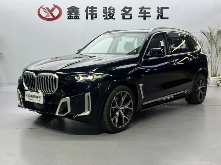 BMW X5 2023 Model xDrive30Li Exclusive Model M Sports Set – фото 1