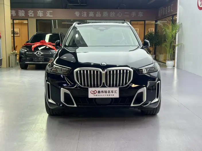 BMW X5 2023 Model xDrive30Li Exclusive Model M Sports Set – фото 2