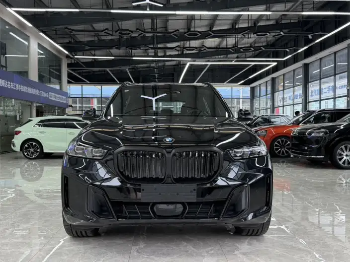 BMW X5 2026 Model Facelift xDrive40Li M Sports Night Set – фото 2