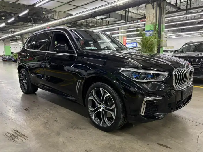 BMW X5 2022 Model Facelift xDrive 40Li Exclusive Model M Sports Set – фото 3