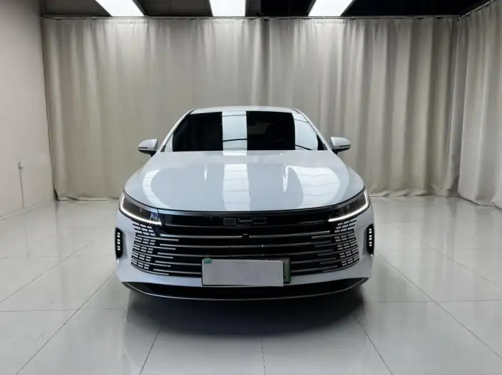 BYD Destroyer 05 2024 Model Honor Edition DM-i 55KM Luxury Model – фото 2