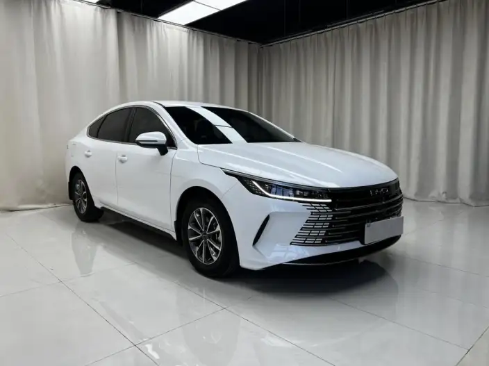 BYD Destroyer 05 2024 Model Honor Edition DM-i 55KM Luxury Model – фото 3