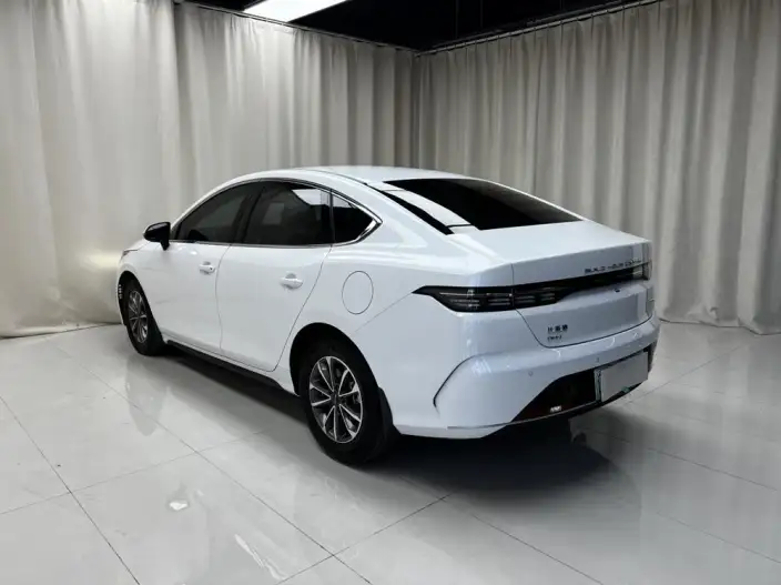 BYD Destroyer 05 2024 Model Honor Edition DM-i 55KM Luxury Model – фото 4