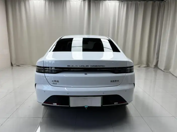 BYD Destroyer 05 2024 Model Honor Edition DM-i 55KM Luxury Model – фото 5