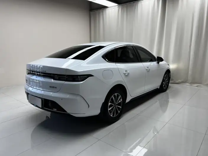 BYD Destroyer 05 2024 Model Honor Edition DM-i 55KM Luxury Model – фото 6