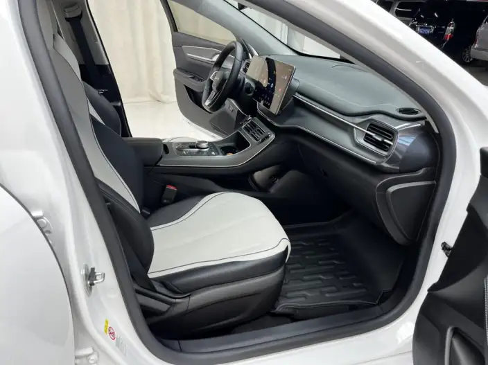 BYD Destroyer 05 2024 Model Honor Edition DM-i 55KM Luxury Model – фото 9