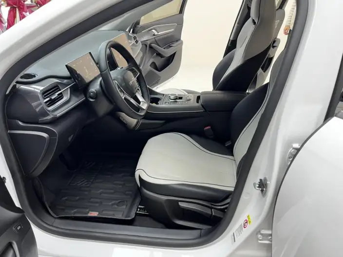 BYD Destroyer 05 2024 Model Honor Edition DM-i 55KM Luxury Model – фото 10
